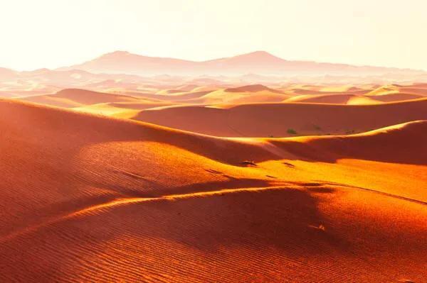 世界上最大的沙漠 世界上最可怕的沙漠