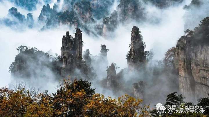 张家界旅游攻略自由行三天 张家界三天游玩