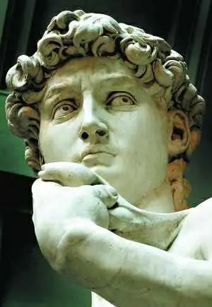 米开朗基罗的大卫为什么眼睛里有爱心