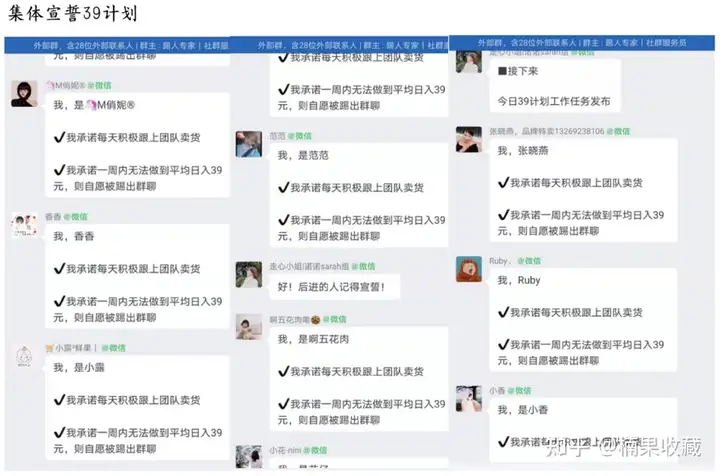 如何搭建一个2W人,月销售额100W的社群团购团队