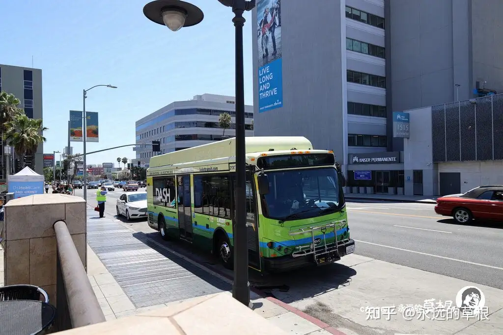 美国都用比亚迪电动车
