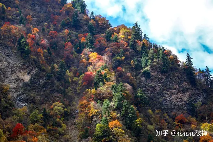 中国最美的秋天在哪里？