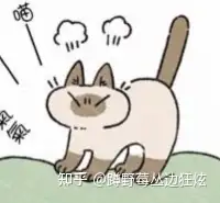 为什么“你妈妈不喜欢你”对外国人杀伤力那么大?