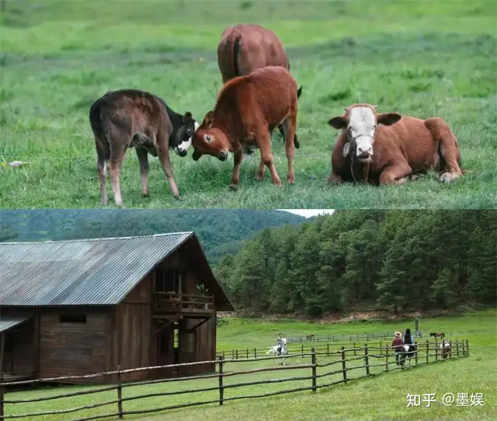 《去有风的地方》观感度如何？(有风的地方有暖阳歌词)
