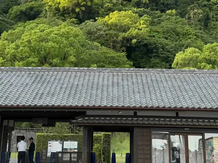 海上游轮120小时，终于找到一个把我当人看的旅游AI了。