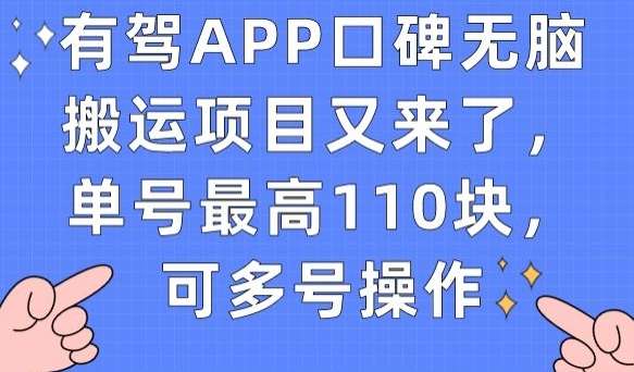 图片[1]-有驾APP口碑无脑搬运项目，单号最高110块【小副业】-暗冰资源网