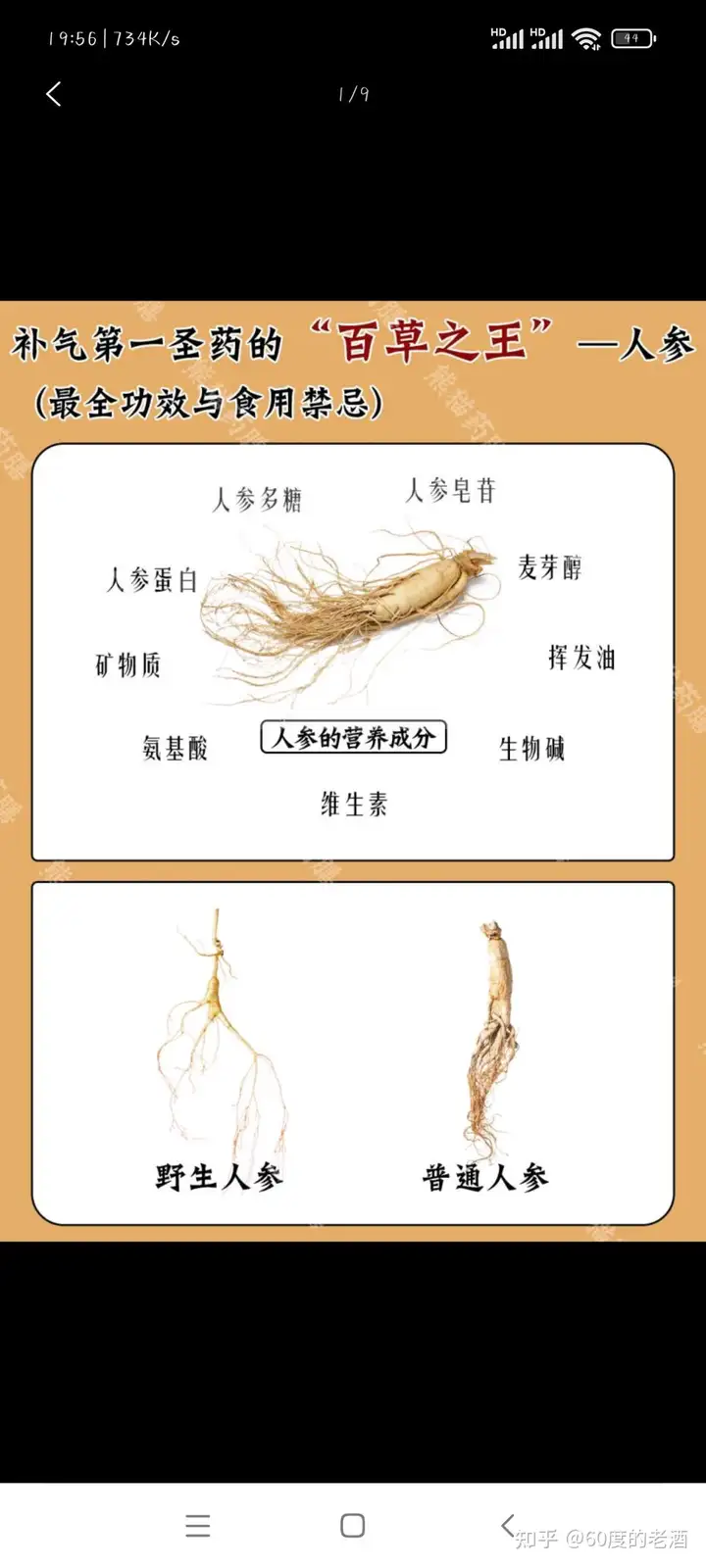 人参有哪些功效和作用? - 知乎