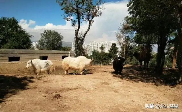 青海西宁的景点有哪些（西宁十大必玩景点排名榜）