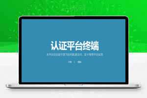 易支付定制授权云端系统