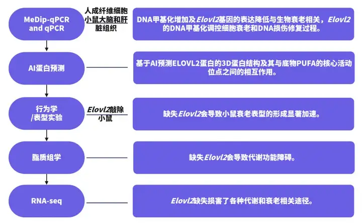 《热点│衰老过程中的表观遗传调控》