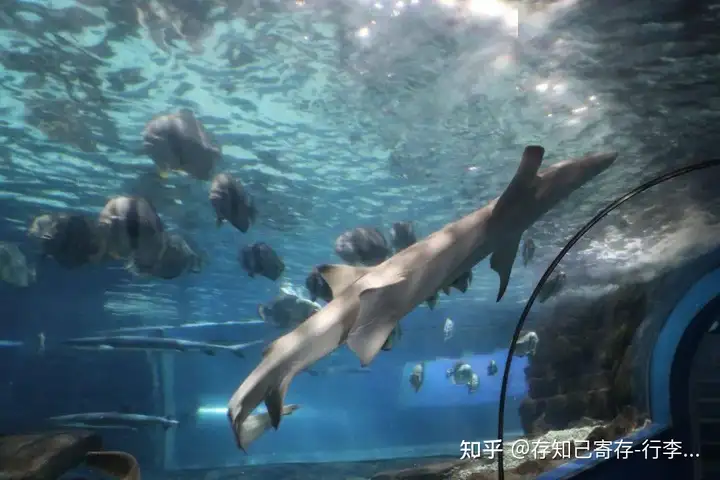 去义乌旅游有哪些攻略?(图4)