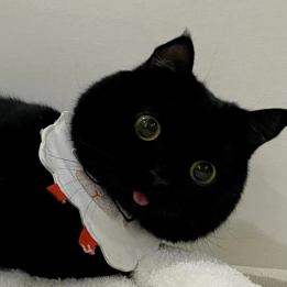 v2-69b8ce8936a3f3d11fff65248be4e212_720w.jpg?source=d16d100b