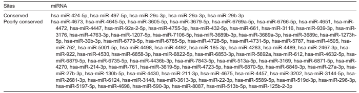 層流剪切應力通過調控 miR - 29b - 3p/CX3CL1 軸減輕單核細胞黏附及動脈粥樣硬化發展 層流剪切應力通過調控 miR - 29b - 3p/CX3CL1 軸減輕單核細胞黏附及動脈粥樣硬化發展