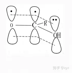 为什么羧基中的pπ共轭效应会导致羟基的氧氢键的极性增大呢