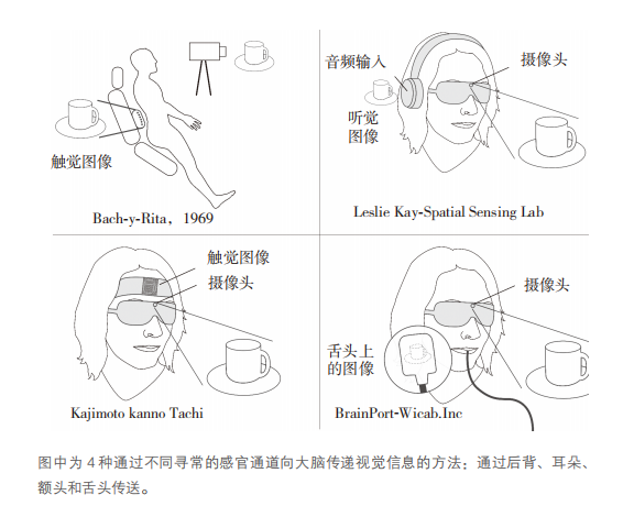 万字追问：人类需要AI，还是更需要自身AI化？