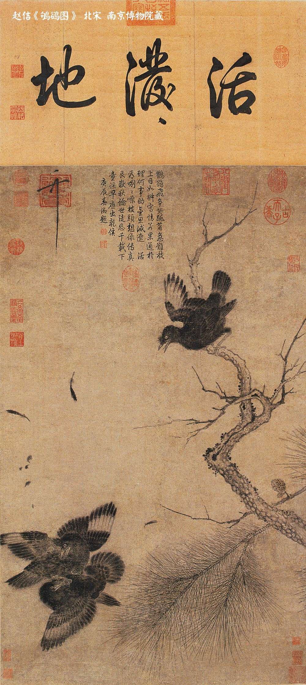 王牌讲解员67阿滚创作主体变了吧,从职业画家转向文人业余画家群体