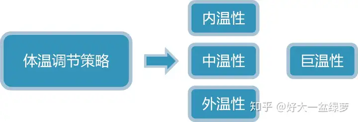 金沙龙神独家代理网络平台门牌号在深圳什么地方（爬行动物是哺乳类还是恒温动物？为何？）爬行动物是哺乳类吗?，