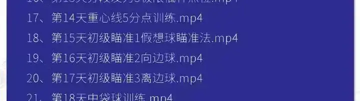 图片[7]-羽毛球篮球台球乒乓球全套高清视频教程-打羽毛球乒乓球篮球网球台球视频教程新手入门零基础动作训练课程【电商热销688】-暗冰资源网