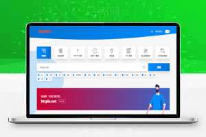 域名查询推广源码，强大域名管理工具，带网站后台