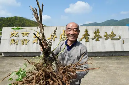 张伯礼院士莅临仲景宛西制药展位指导，称赞仲景六味地黄丸最好