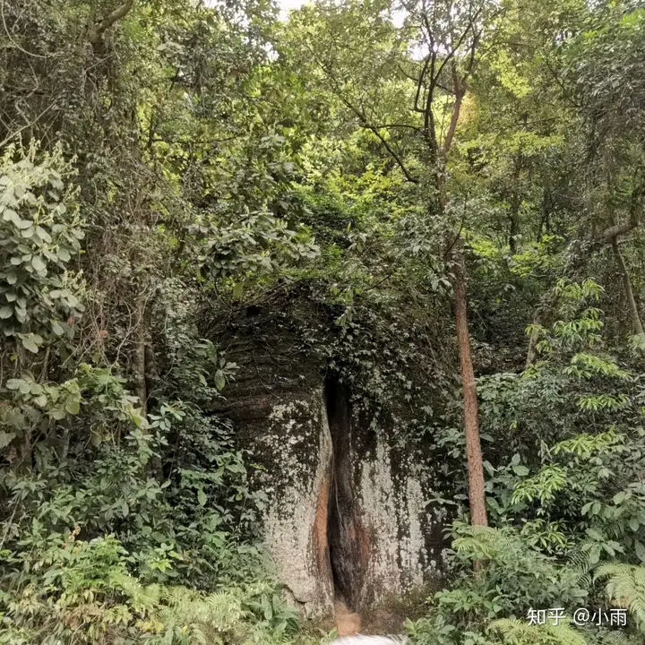 韶关「丹霞山」是一个什么景点，有哪些推荐的游玩攻略和特色景观？