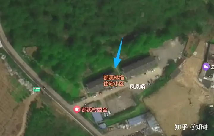 两匹马受惊闯入小区拖曳女童致其死亡，马匹主人已被刑拘，遇到受惊的马该怎么应对？