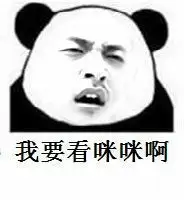 有哪些王大锤熊猫表情包?