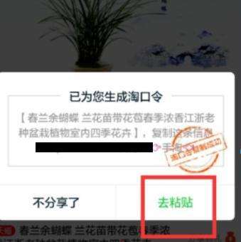 淘口令是什么意思？淘宝链接怎么生成淘口令