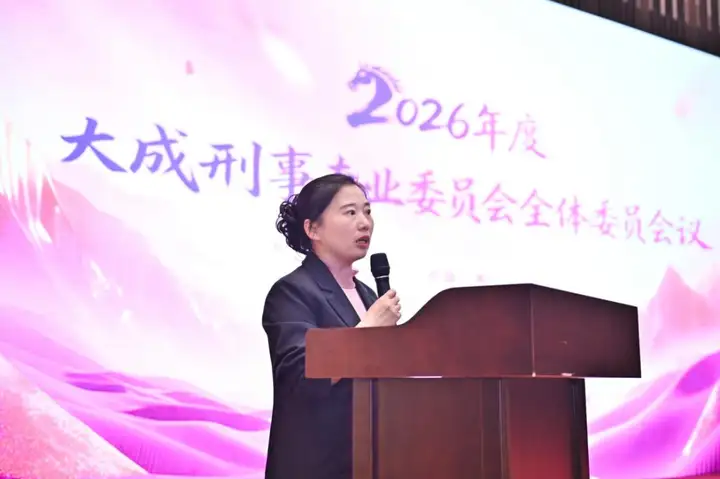 刑铸法治 骏启新程｜大成刑委会2025年会盛典耀启邕城