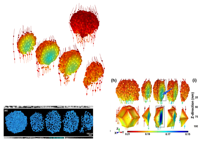 采用COMSOL分析多孔电极材料与氧气电反应强度分布的图2