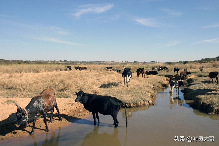 图片[11]-非洲土地那么肥沃为什么还是很穷-博云求真