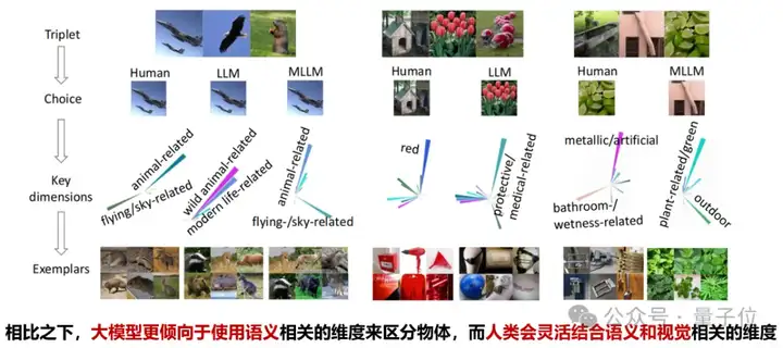 大模型能够自发形成“人类思维地图”！Nature子刊重磅研究揭示多模态大模型类脑机制