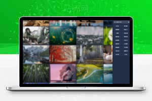 全自动壁纸采集源码