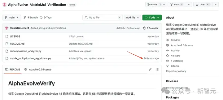 震撼全网，AlphaEvolve矩阵乘法突破被证明为真！开发者用代码证实