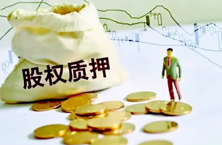 股权质押的含义是什么?