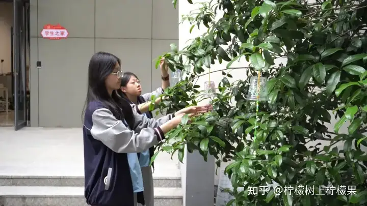 【活力校园】手绘风铃添彩 心融美育校园 | 塘栖校区组织开展手绘风铃活动(图6)