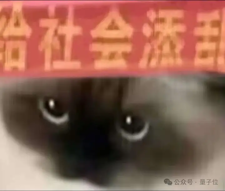 实测Gemini图片转视频新功能，终于蹲到经典梗图后续了（doge）