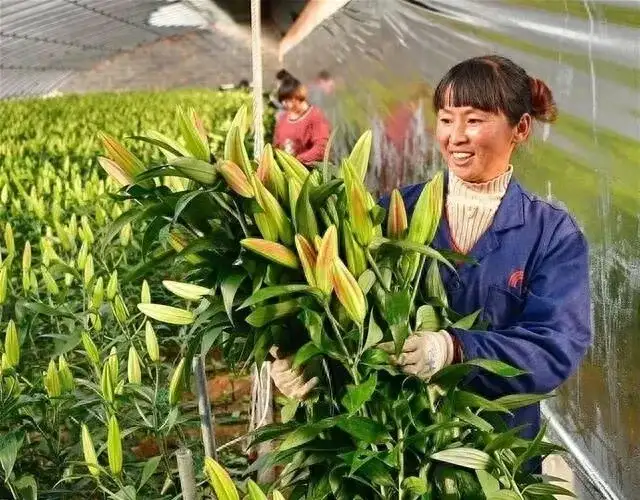 什么种植赚钱最快（农村种植什么好养又赚钱）