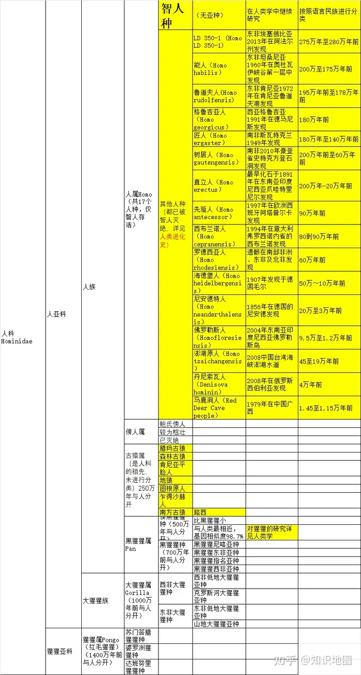 人科、人亚科、人族、人亚族、人属的其他物种分别有哪些? - 知乎