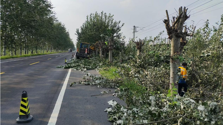 齐河公路分中心积极消除公铁并行路段安全隐患