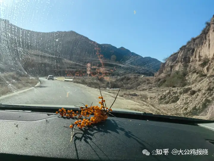 传承中医文化