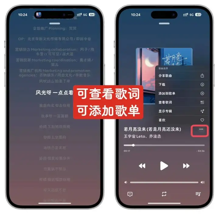 图片[4]-【苹果】iOS苹果免费听歌软件APP - Music Player-山海之花 - 宝藏星球屋