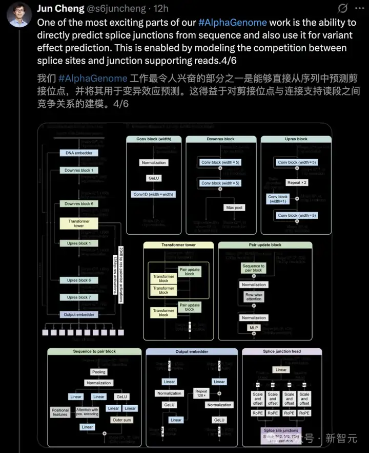 谷歌AlphaGenome横空出世！40亿年生命代码一键破解，或再夺诺奖