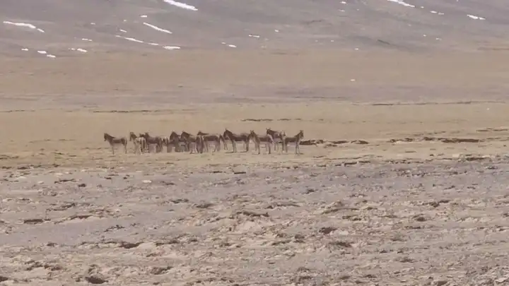 立得空间郭晟应邀出席WIF2024创新先行者论坛：把握时空智能时代新机遇