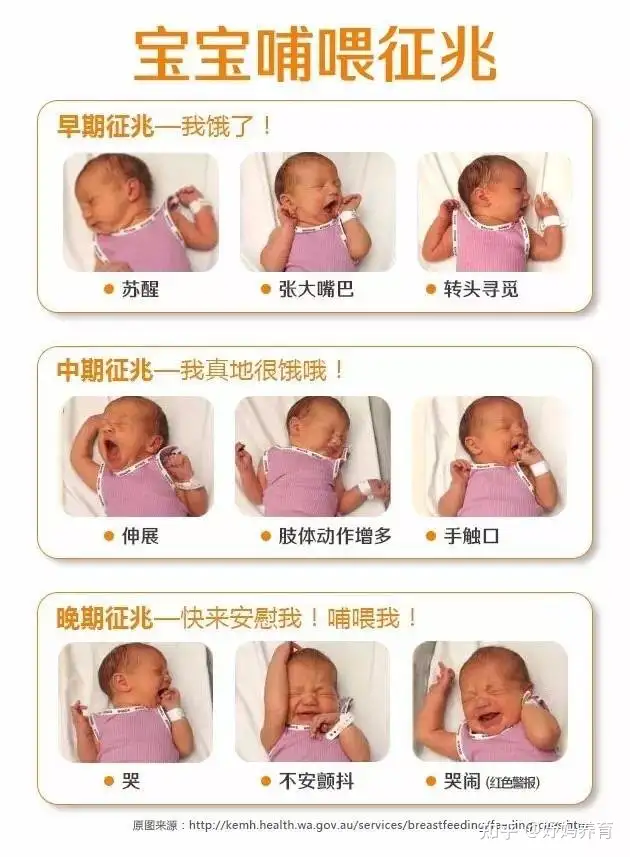 新生儿宝宝该怎么喂养母乳？丨新生儿宝宝该怎么喂奶粉
