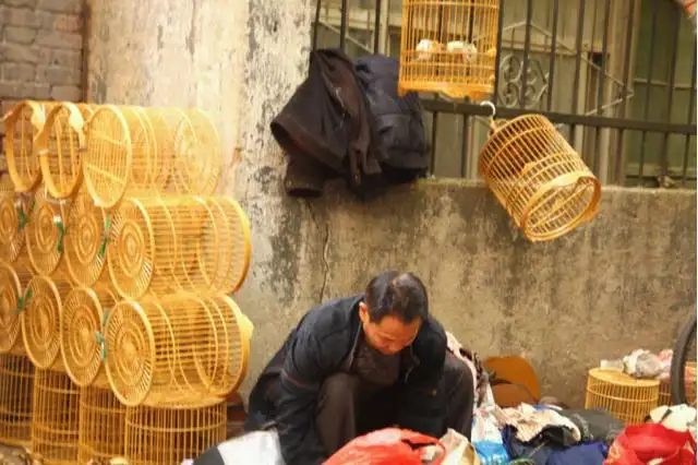 西安旅游有哪些推荐～？（西安旅游地点有哪些）