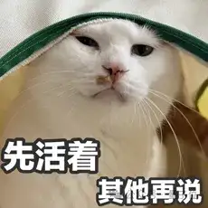 123页Claude 4行为报告发布：人类干坏事，可能会被它反手一个举报？！