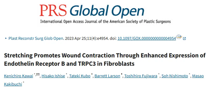 拉伸通過增強成纖維細胞中內皮素受體B和TRPC3 的表達來促進傷口收縮