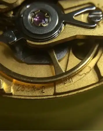 肉眼能从手表背透部分分辨出eta2824和海鸥2824么? - 知乎