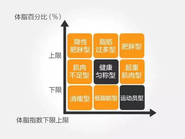 求体脂秤各数据的计算公式 ？(体脂秤各项数据怎么得到的)